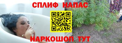 mix Будённовск