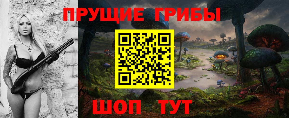 Галлюциногенные грибы Psilocybe Бугульма