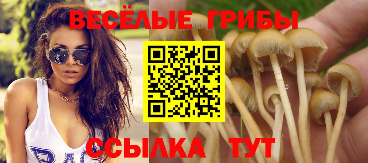 Псилоцибиновые грибы мухоморы  Вход с VPN  Бугульма 